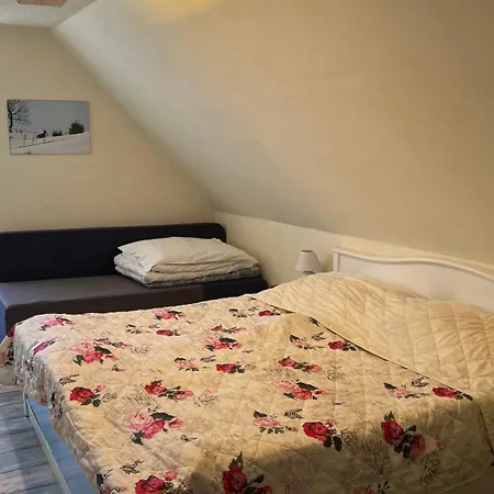 펜션 Na Majeri Nizne